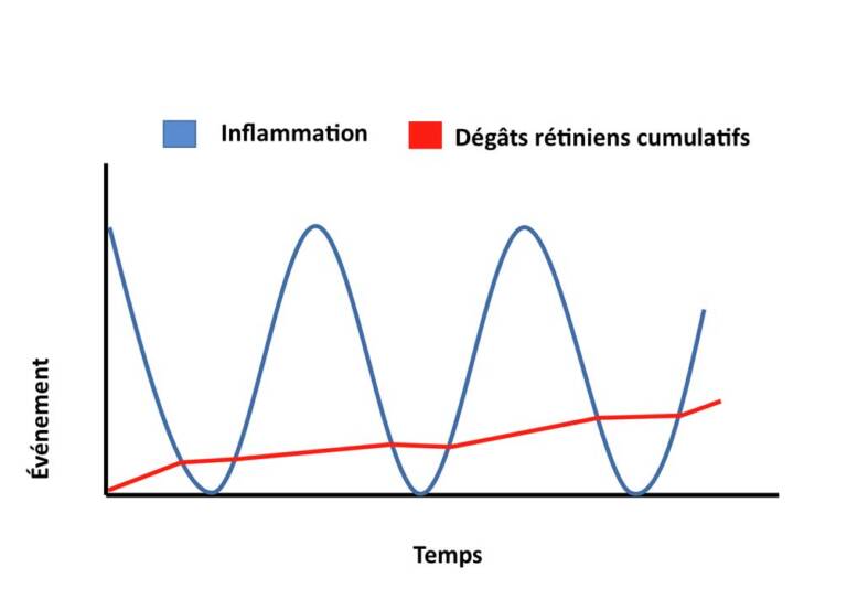 Figure 2. L’inflammation qui rechute et qui est ensuite traitée entraîne des dégâts rétiniens cumulatifs et une moins bonne récupération visuelle finale.
