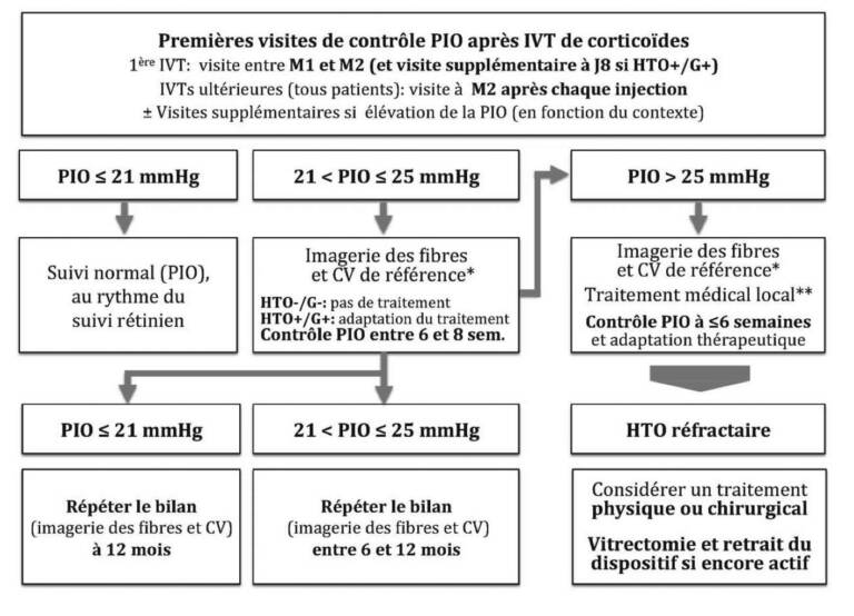 Figure 3. Algorithme de prise en charge selon l’importance de l’hypertonie induite selon les recommandations de la Société française du glaucome.
