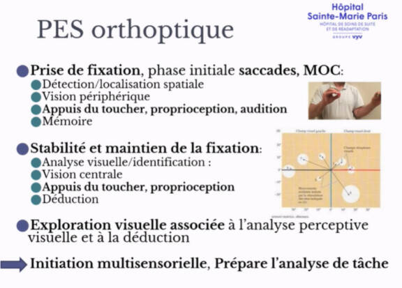 Échos Orthoptistes