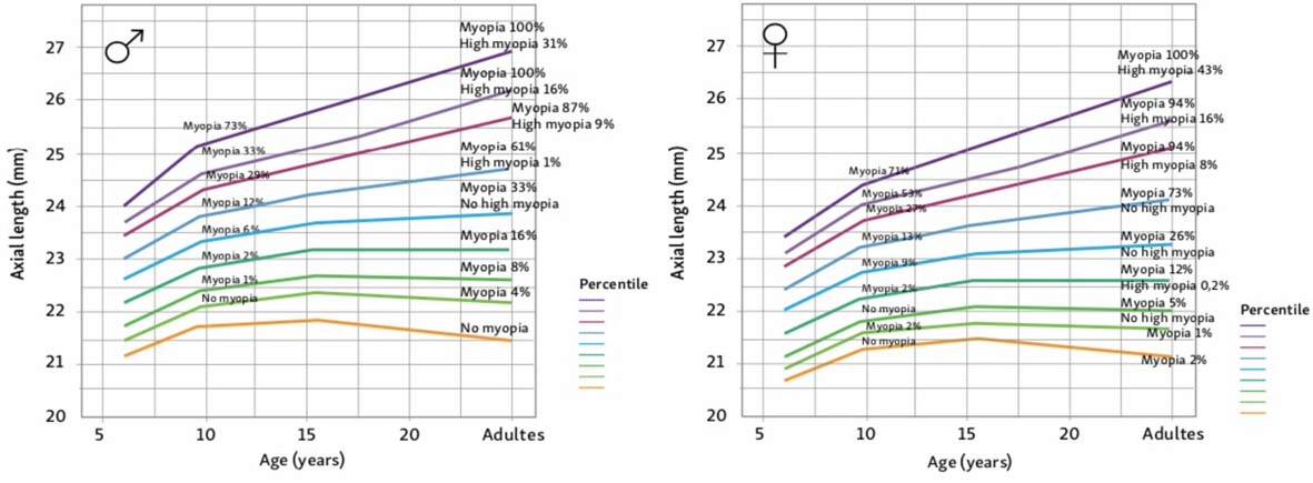 Figure 1. Courbes de croissance de la longueur axiale (en mm) en fonction de l’â̂ge et du sexe pour des enfants europé́ens, et estimation du risque de myopie et de myopie forte à̀ l’â̂ge adulte (d’aprè̀s [2]).&nbsp;
