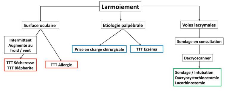 Figure 2. Conduite à tenir devant un larmoiement chronique (TTT : traitement).
