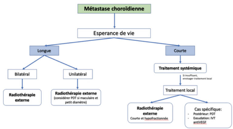 Figure 2. Algorithme de prise en charge thérapeutique des métastases choroïdiennes.
