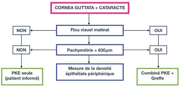 Tableau I. Algorithme sur la conduite à tenir dans le cas d’une opération de la cataracte chez des patients atteints d’une dystrophie de Fuch’s proposé par le Dr Malandin.
